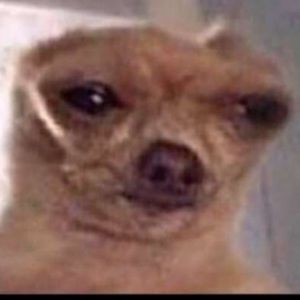 Meet your Posher, Kadesia